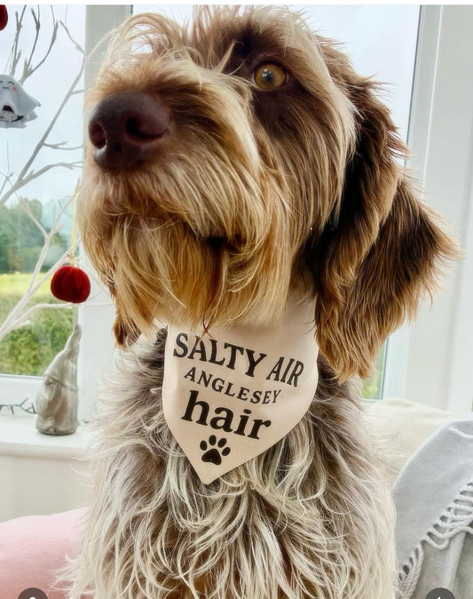 Handmade in the UK - Salty air, Anglesey hair Dog Bandanas in Almond 🐾