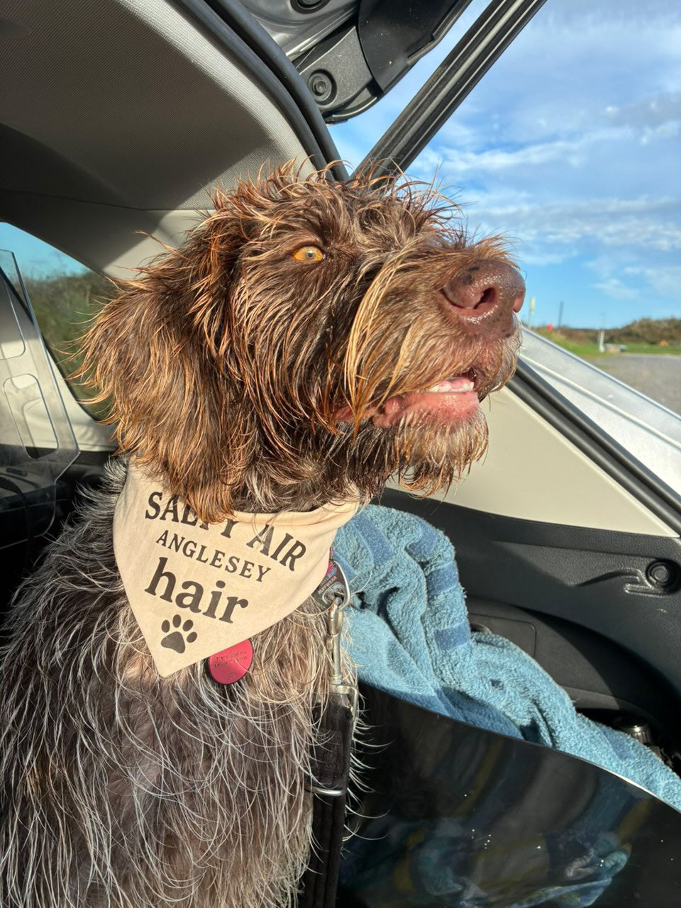 Handmade in the UK - Salty air, Anglesey hair Dog Bandanas in Almond 🐾