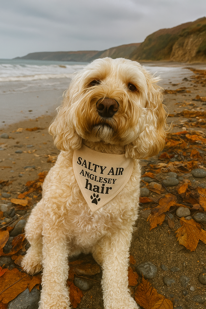 Handmade in the UK - Salty air, Anglesey hair Dog Bandanas in Almond 🐾