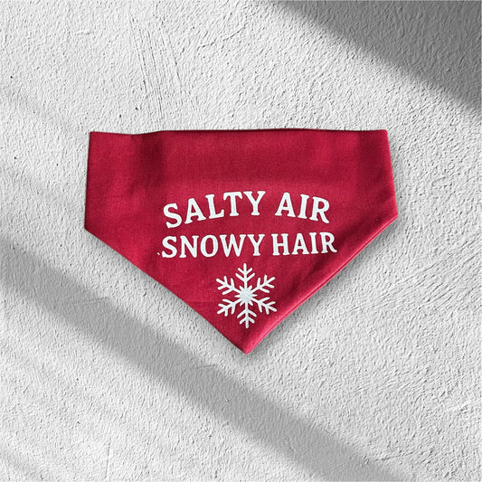 Salty air, Snowy hair dog bandana in medium 🎅🏻